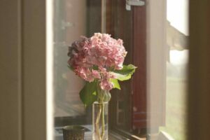 Hiver lumineux 1 Hiver lumineux 1